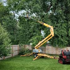 Best Landscape Design and Installation  in Elwood, IL
